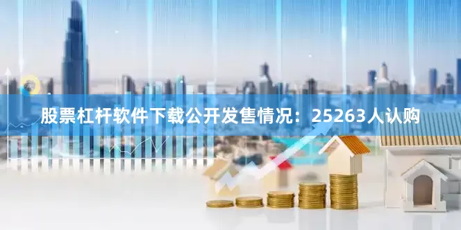 股票杠杆软件下载公开发售情况：25263人认购