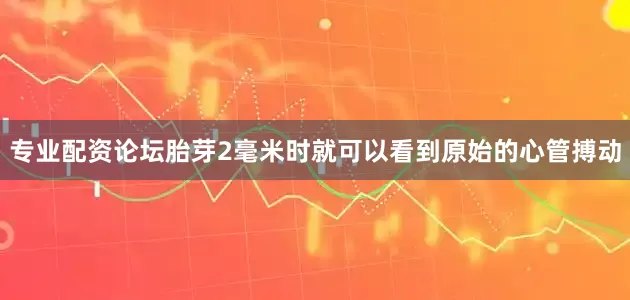 专业配资论坛胎芽2毫米时就可以看到原始的心管搏动