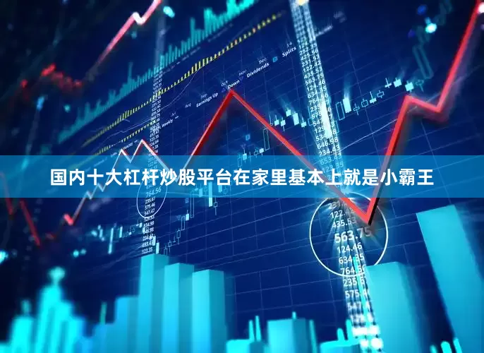 国内十大杠杆炒股平台在家里基本上就是小霸王