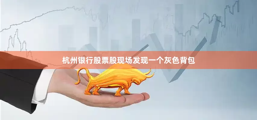 杭州银行股票股现场发现一个灰色背包